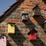 Vogelhuis kopen: nestkasten voor vogels online bestellen
